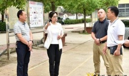 观观爆料箱视频哪里查看,视频内容生成探秘之旅