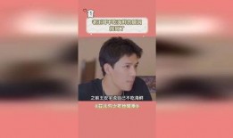 北京王哥爆料视频大全集,揭秘京城风云录